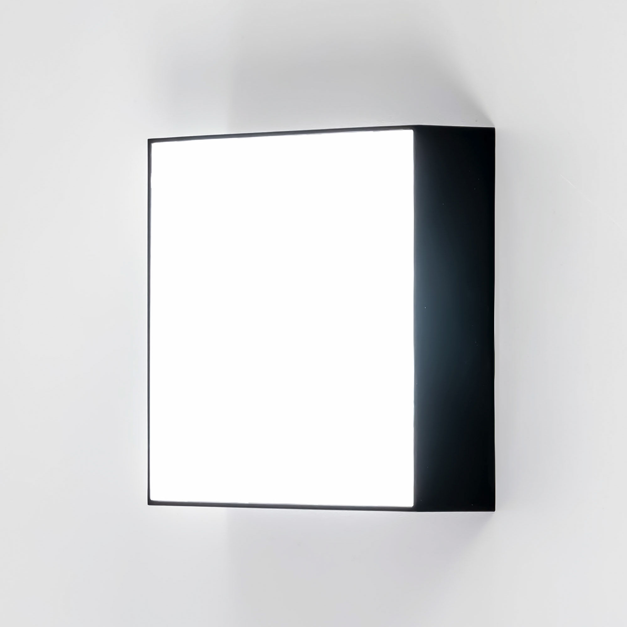 Citilux Тао CL712X122N LED Светильник потолочный с диммером Чёрный арт. 88031