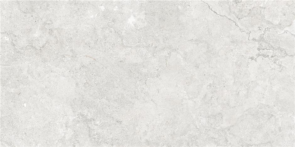 GOBI PEARL MT 60X120 RECT (S-TECH) арт. 58446