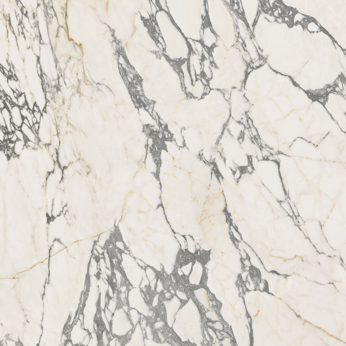 Керамогранит EPOQUE 21 ARABESCATO NAT RET 80X80 арт. 85237