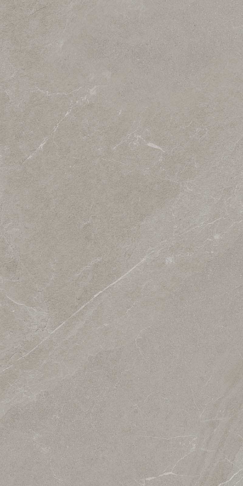 ANGERS AV TAUPE RET 60x120 арт. 71307