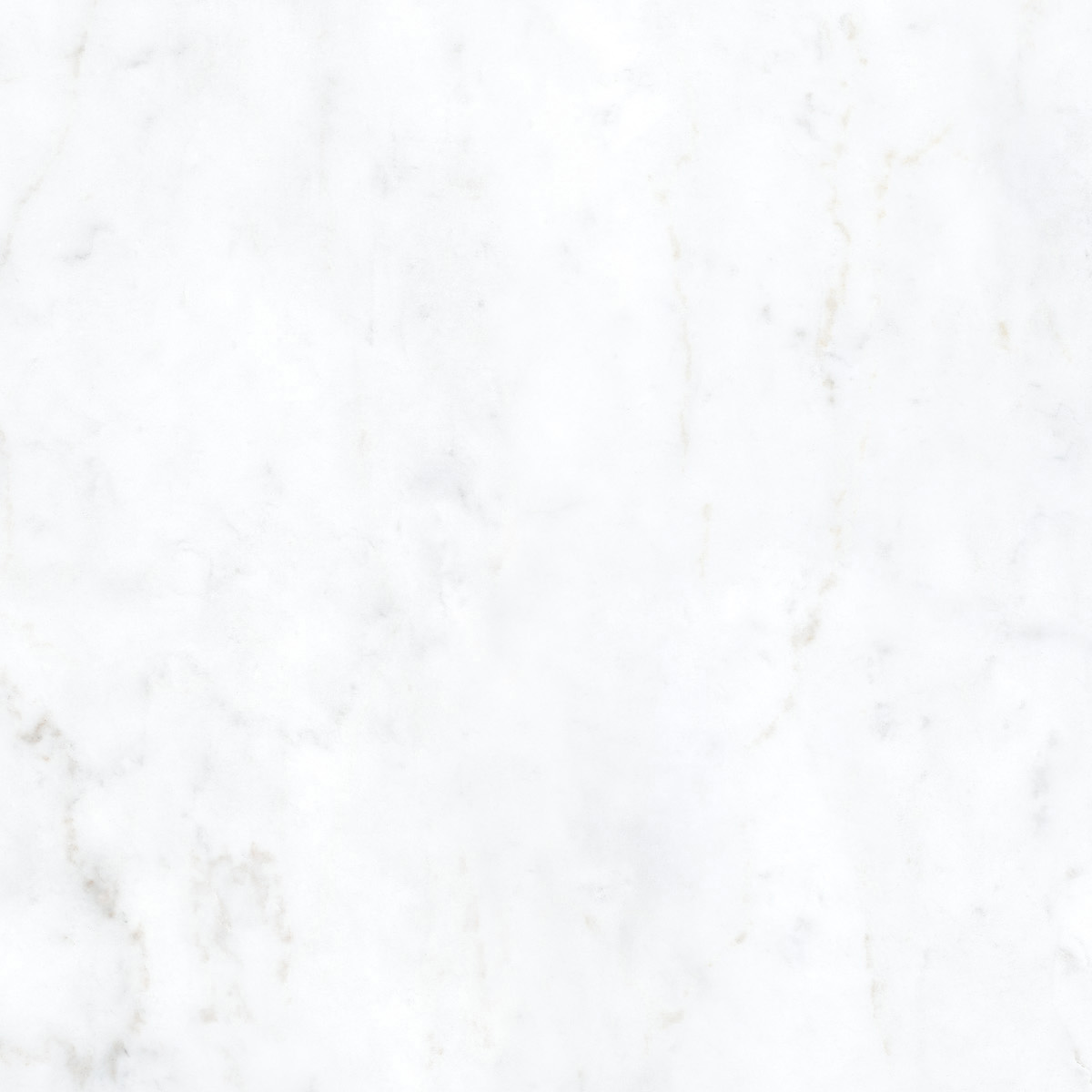 Керамическая плитка BIANCO BERNINI NAT RETT	80X80 арт. 84611