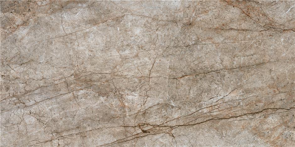 RAIN FOREST NATURAL MАТ 60X120 RECT. арт. 58278