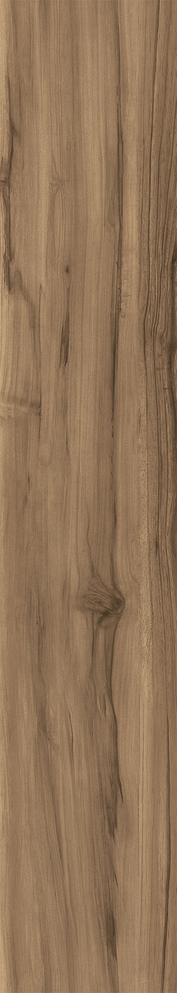 FOSSIL WOOD WENGE арт. 123091