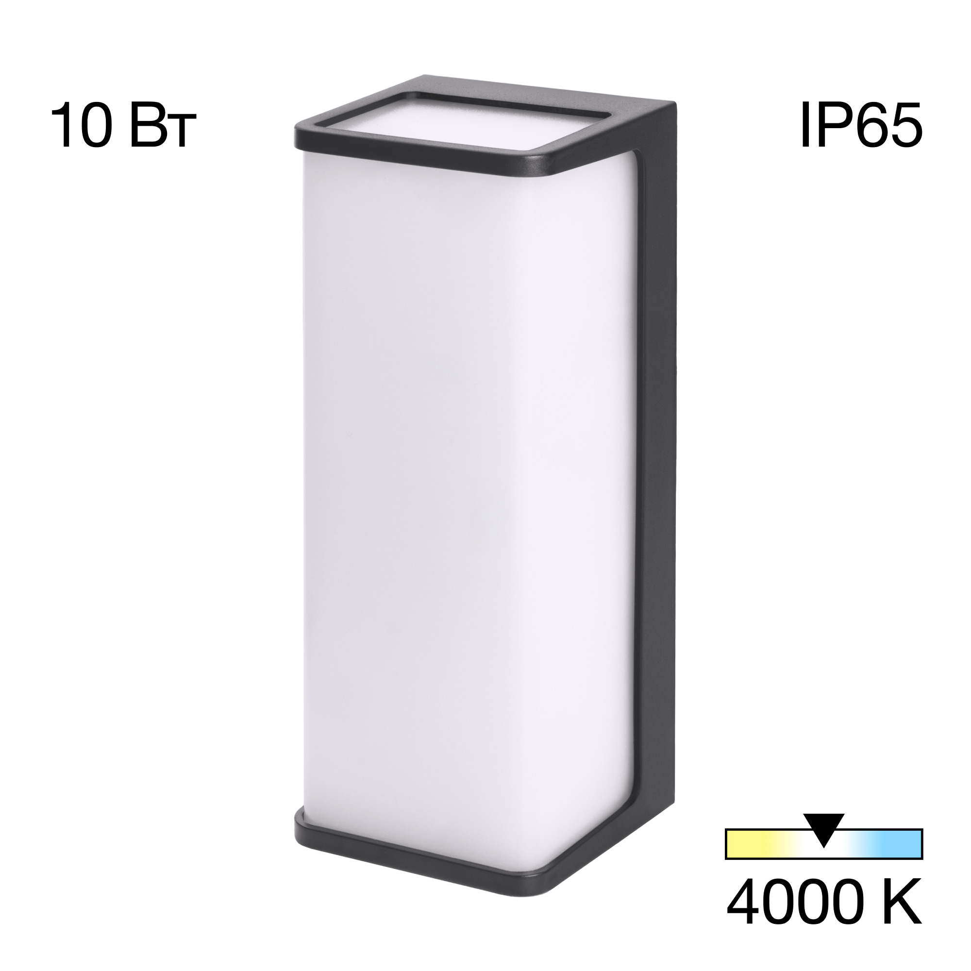 Citilux DOMUS CLU0802 LED Уличный настенный светильник Чёрный арт. 89363