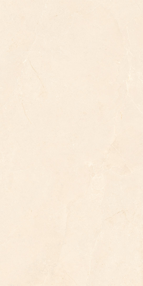 Керамогранит NOBLE STONE BEIGE 3D SATIN RET 60X120 арт. 209160