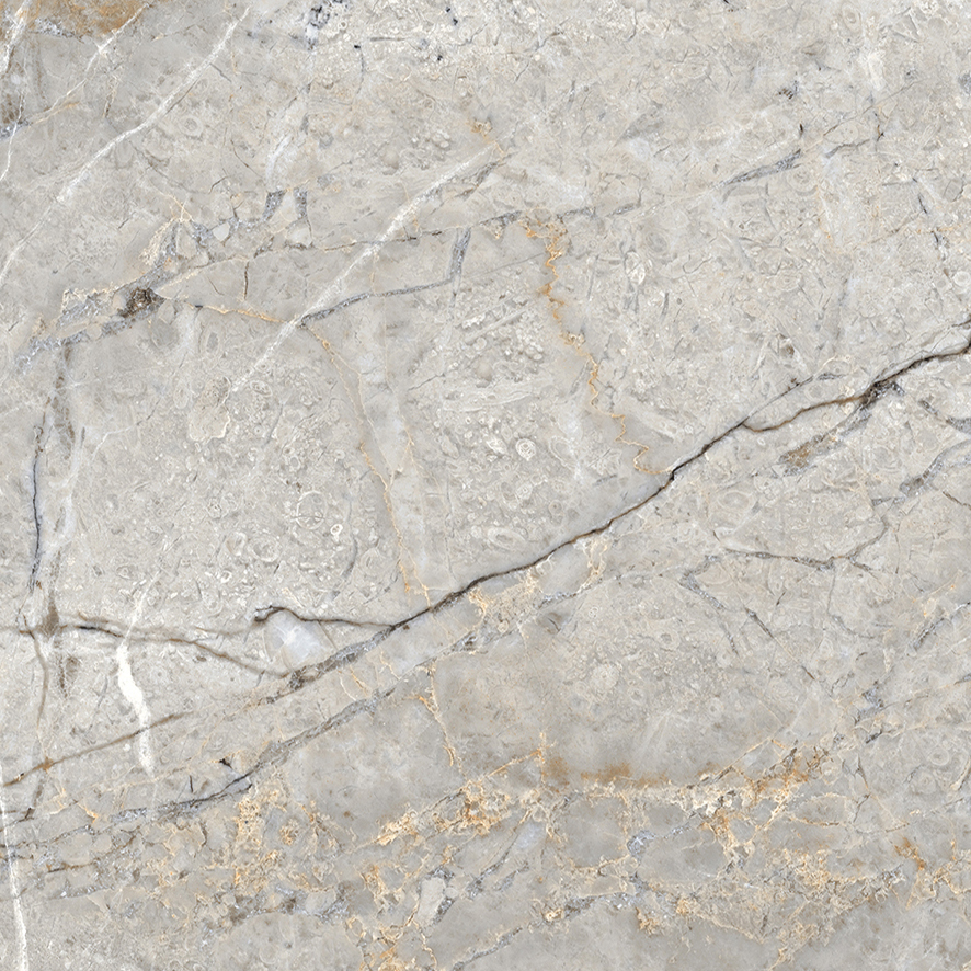 Fantastico Grey Granito Керамогранит 60х60 Полированный арт. 25298