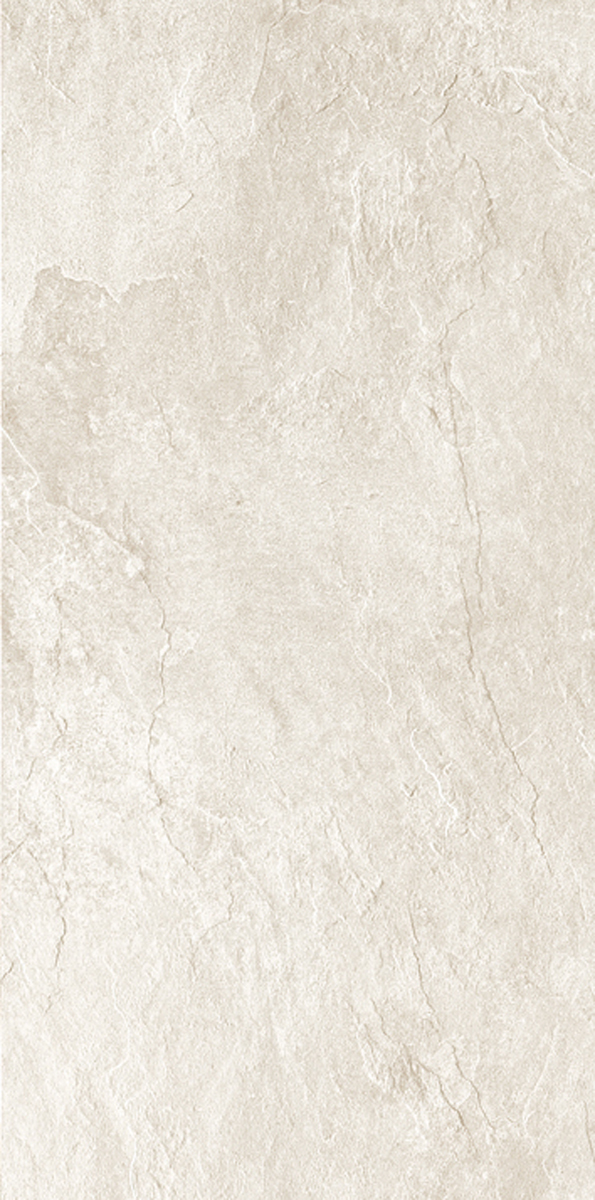 Керамогранит ARDOISE BLANC NAT 60x120 RET арт. 84653