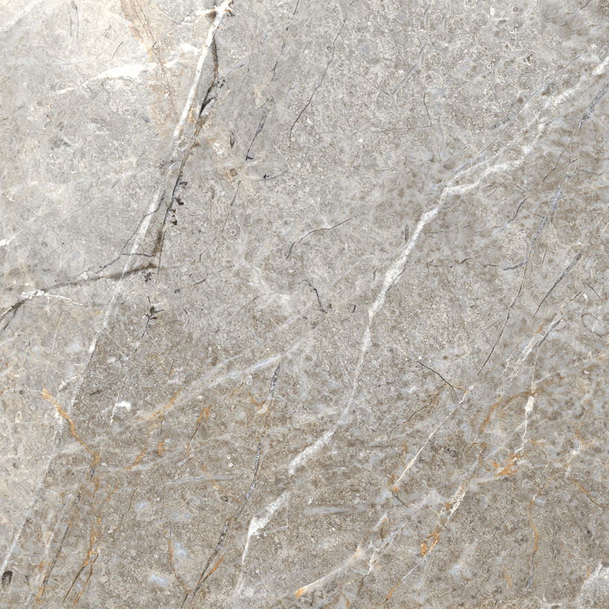 Fantastico Grey Granito Керамогранит 60х60 Матовый арт. 25986