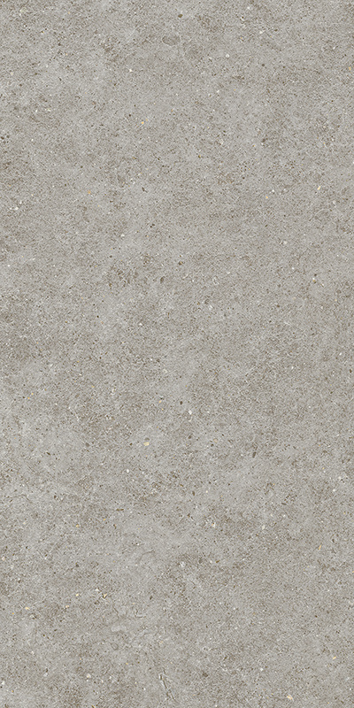 BOOST STONE Grey 60x120 арт. 79442
