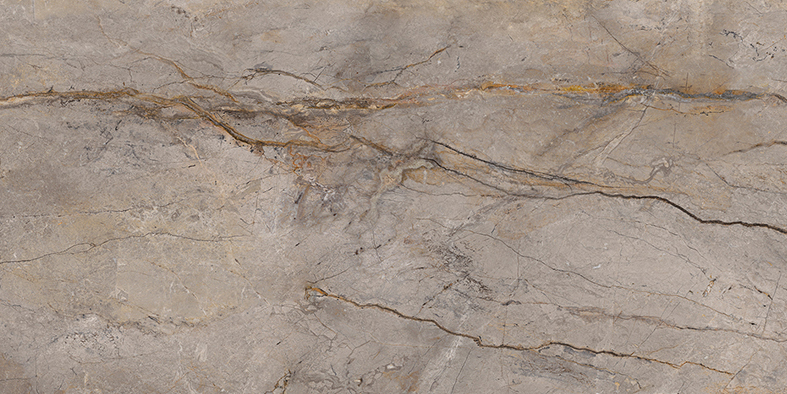 APAVISA WILD FOREST GREY POLISHED 59.55x119.3 G-1442 арт. 41487