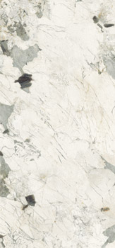 PAT WH6 278 LP 120x278 арт. 206178