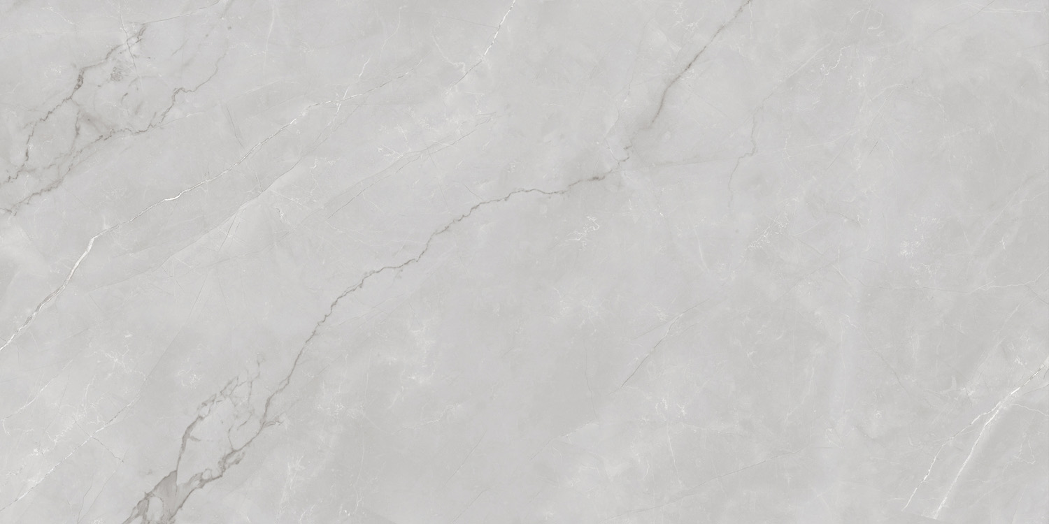 Керамогранит ASTONIA Silver Glossy Silver Line 60x120 арт. 71797