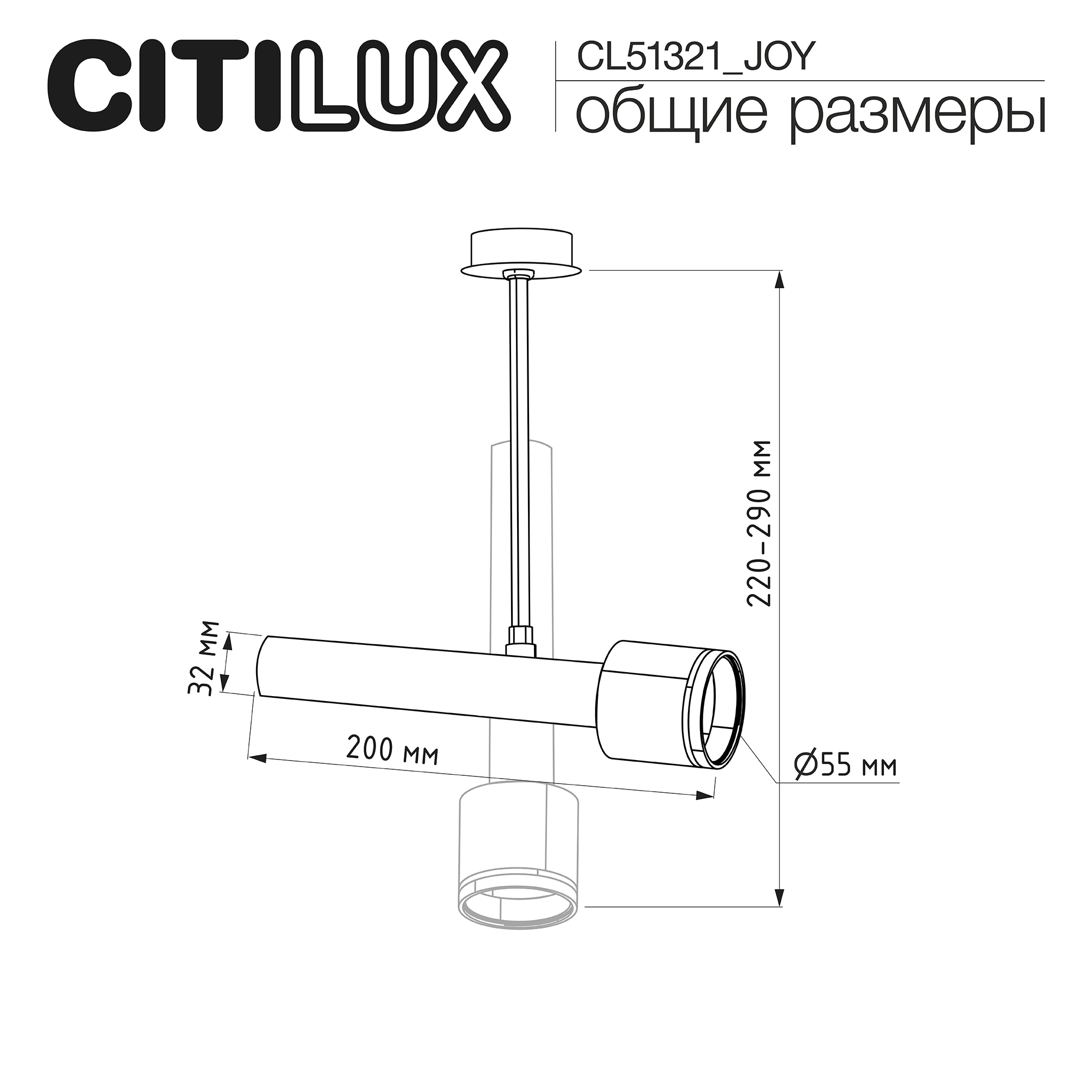 Citilux SkyPORT.10 VEKTOR CL51321_JOY Встраиваемый светильник на штанге Чёрный 20см арт. 209856