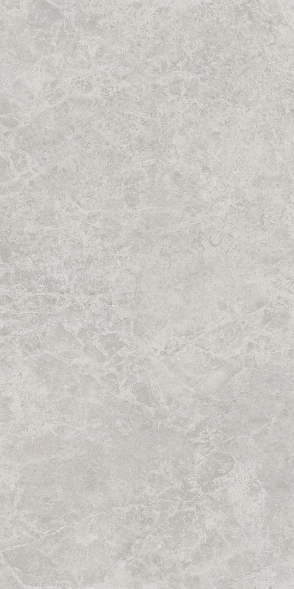 Керамогранит ERA DELIC. ASH NAT R60X120 арт. 126201