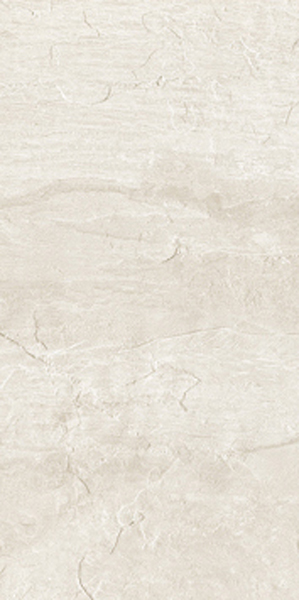 Керамогранит ARDOISE BLANC NAT 30,4x60,8 RET арт. 84421