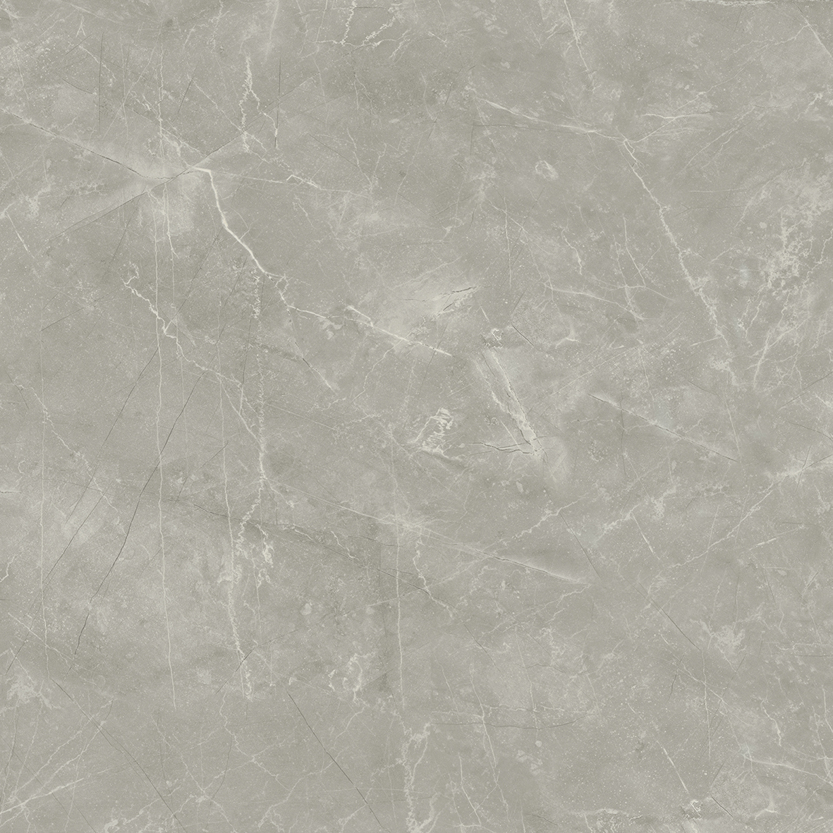 Wolf Grey Керамогранит 80х80 Сатинированный арт. 20630