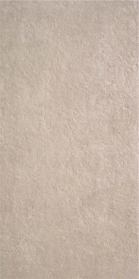 DETROIT GREIGE MT 60X120 арт. 74022