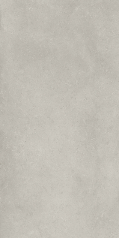 ФОССИЛ ГРЭЙ 60X120 РЕТ арт. 80674