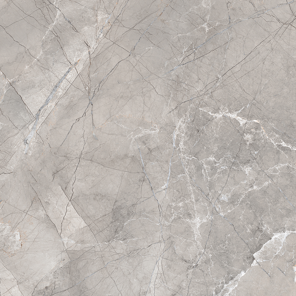 Carnico Grey Керамогранит серый 80x80 Лаппатированный арт. 26975