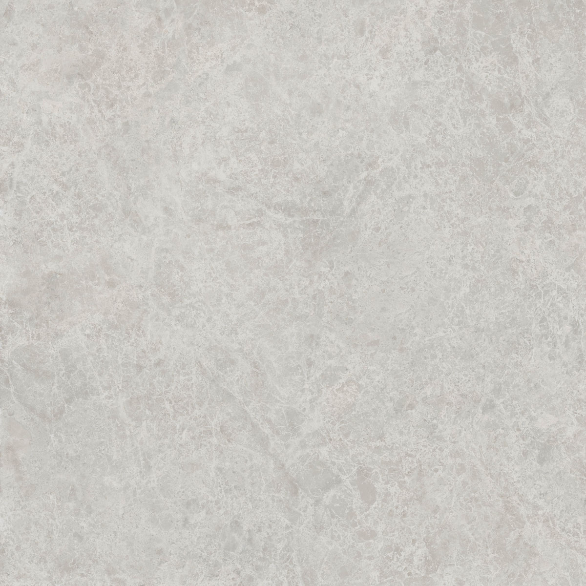 Керамический гранит  ERA DELIC. ASH NAT R120X120 арт. 126263