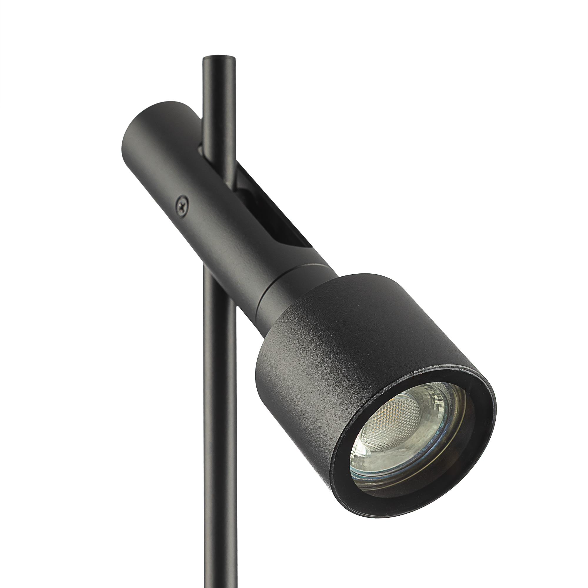 Citilux SPOTTER CLU11B1 Ландшафтный поворотный светильник Чёрный арт. 89813