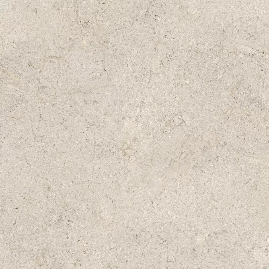 DORCIA BONE L 80X80(A) арт. 203117
