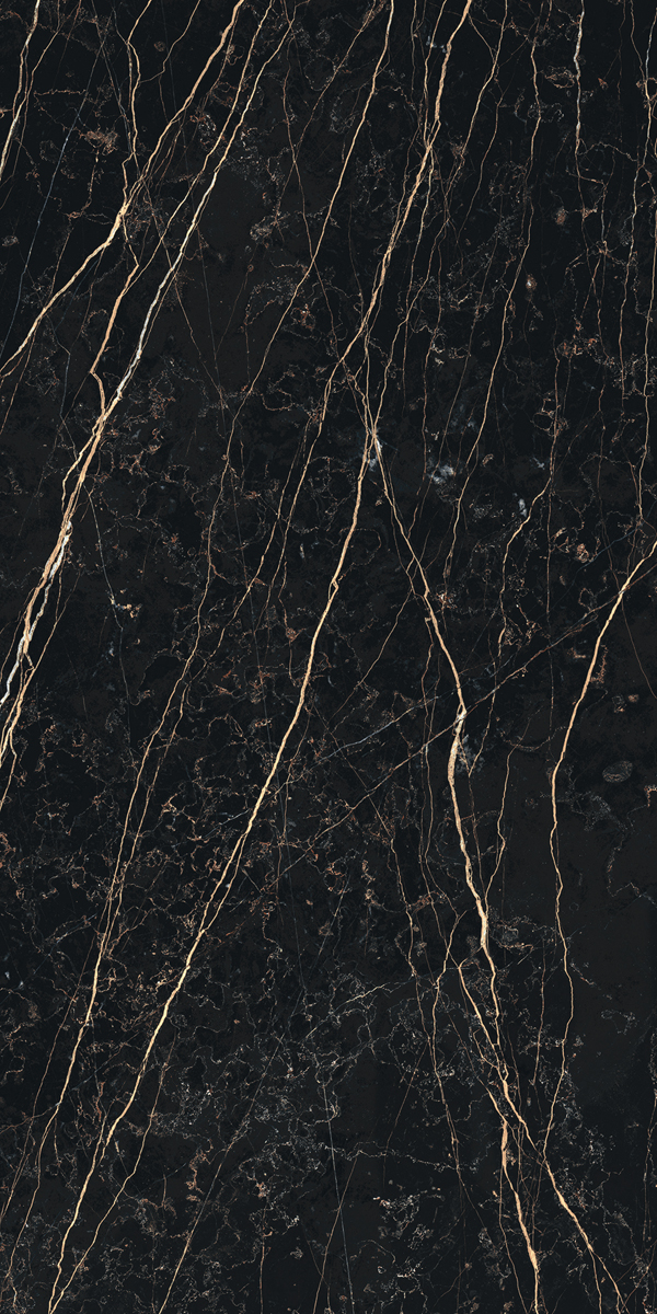Керамогранит PREXIOUS REX THUNDER NIGHT MAT 60X120 R арт. 83788