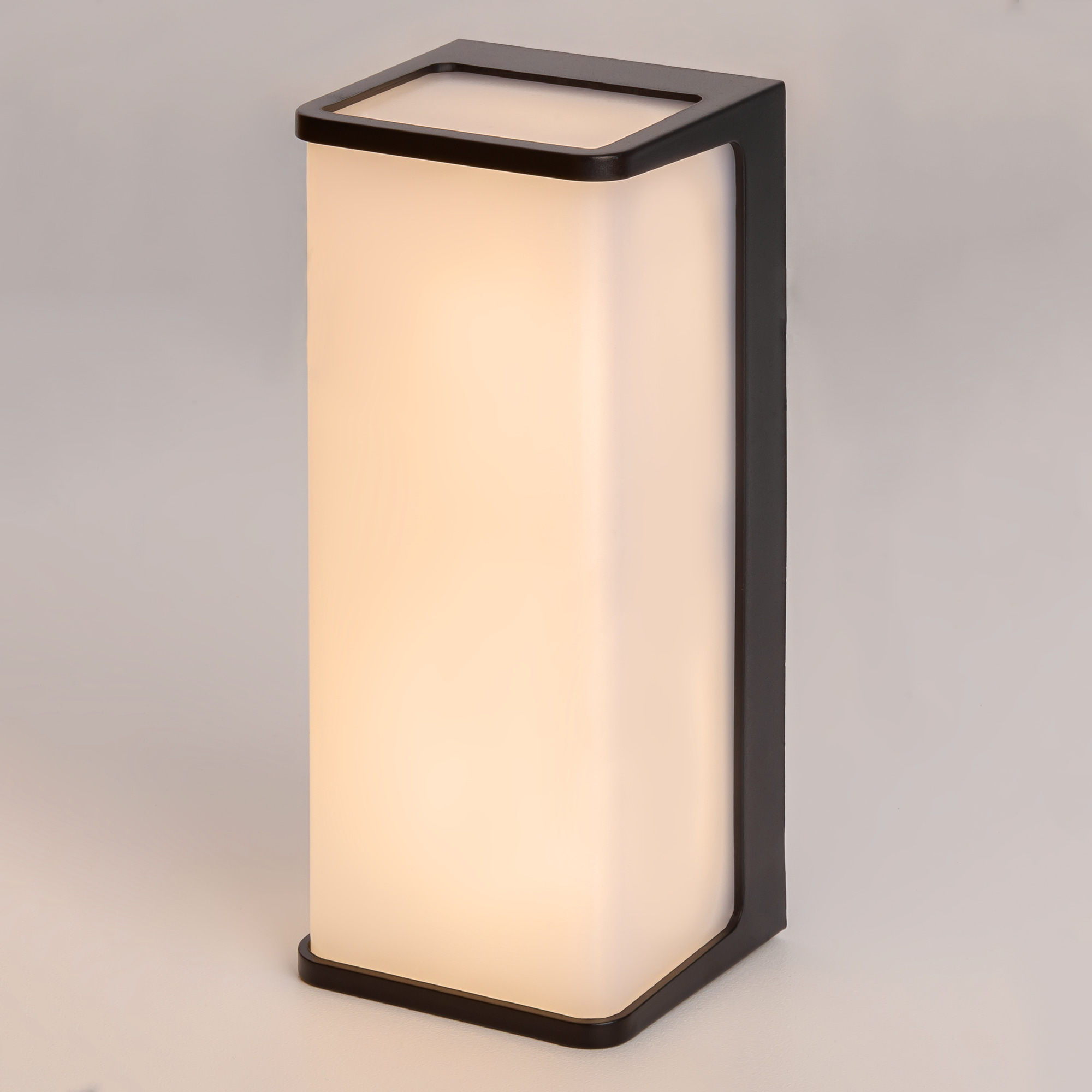 Citilux DOMUS CLU0802 LED Уличный настенный светильник Чёрный арт. 89363