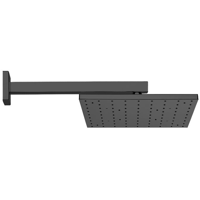 Верхний душ Webert Comfort AC0392560METAL, черный арт. 174427
