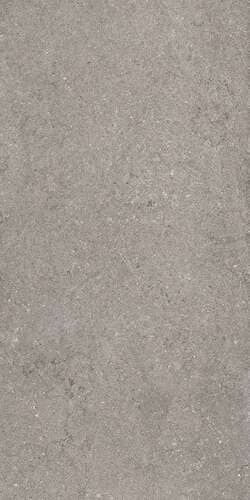ДИСКАВЕР ГРЭЙ 60X120 РЕТ арт. 80371