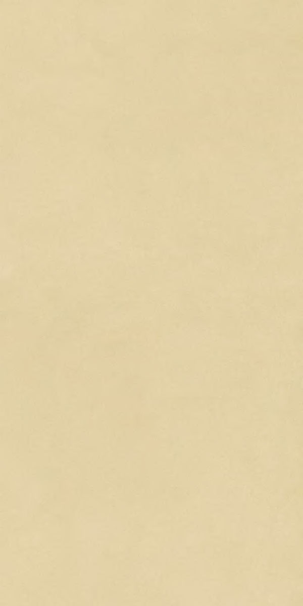 Керамогранит NUANCES LUCE SQ. 120X60 арт. 85842