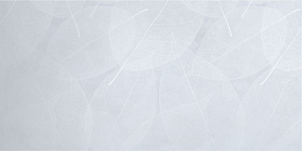 Керамогранит ELEGANZA Sky Arte Carving 60x120 арт. 71821