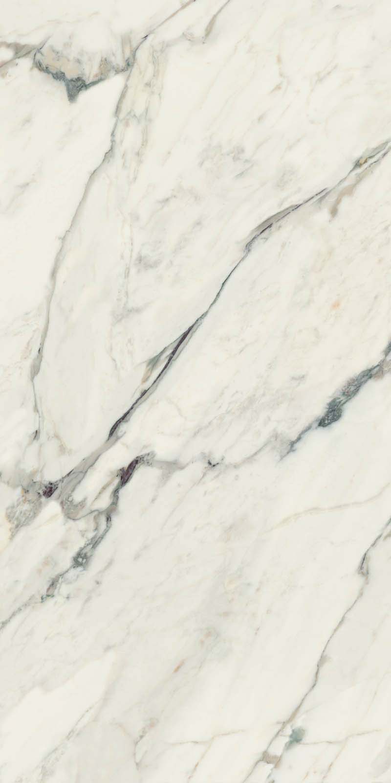 CANOVA BRECCIA CAPRAIA LAP RET 60x120  8,5 мм арт. 71323