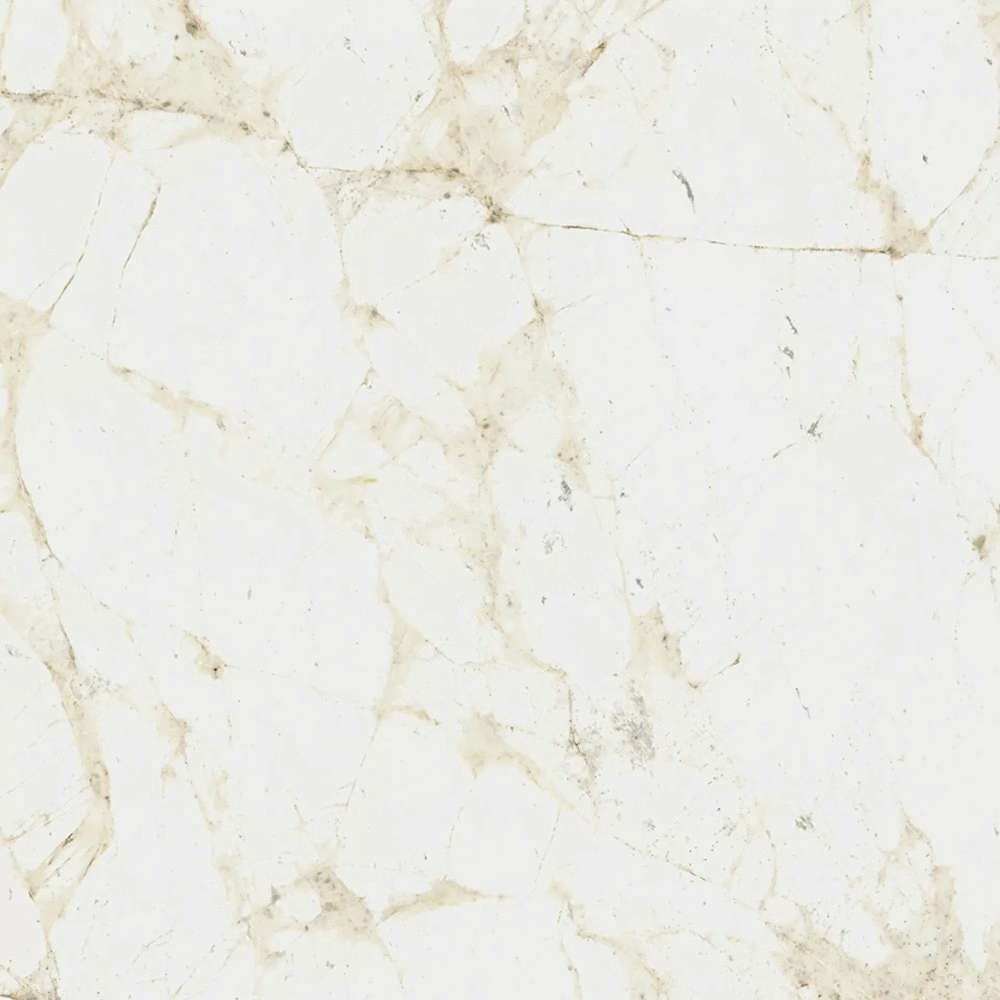 Coliseum Canova Керамогранит White 60x60 натуральный арт. 70091