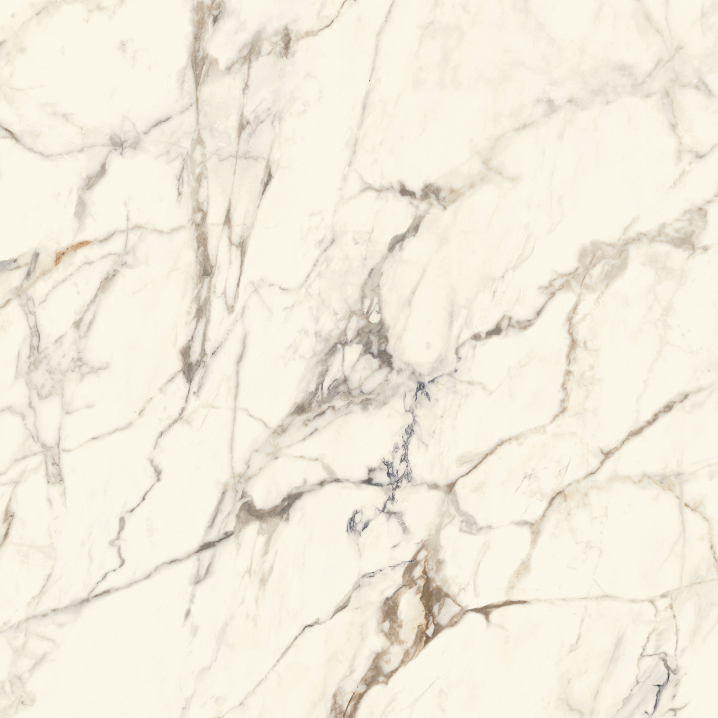 CALACATTA GOLD SILK PV6 120X120(A) арт. 80372