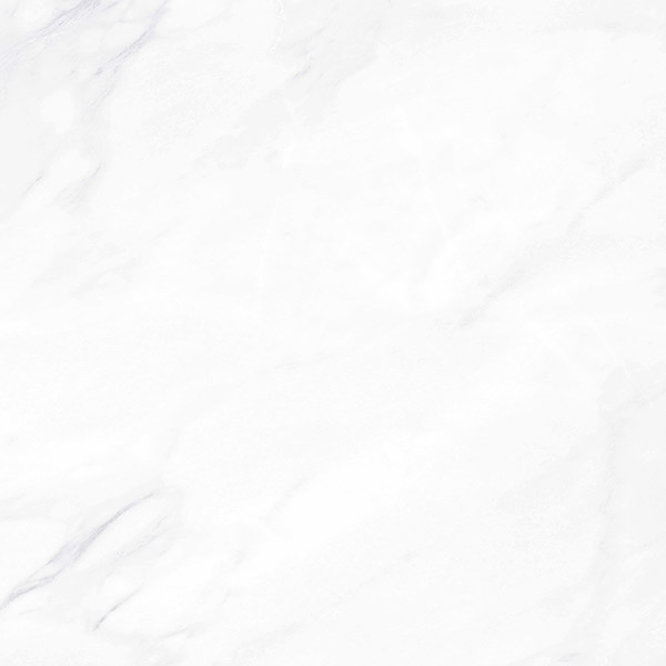 Плитка Гранитея G281-Payer Elegant 600х600 MR (1,44 кв.м.) арт. 54033
