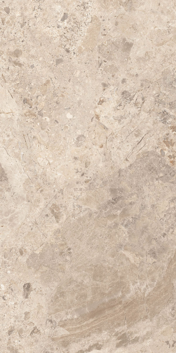 Керамогранит ERA BLOOM. TAUPE LAP R60X120 арт. 126211