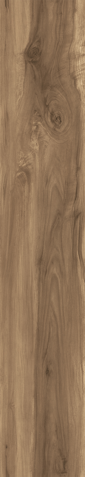 FOSSIL WOOD WENGE арт. 123091
