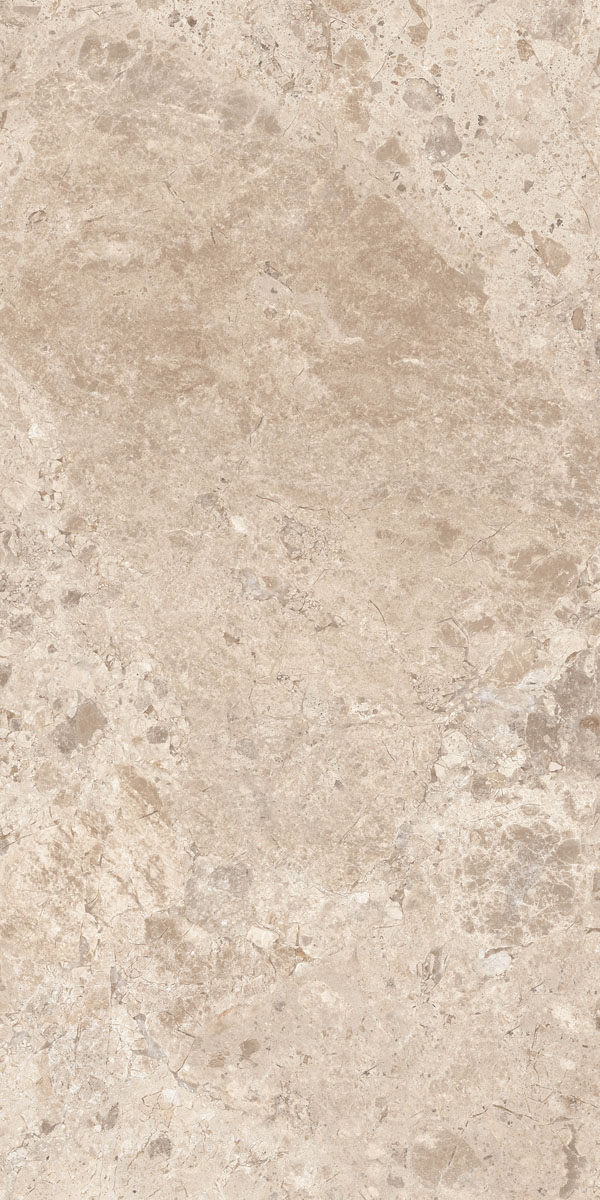 Керамогранит ERA BLOOM. TAUPE NAT R60X120 арт. 126197