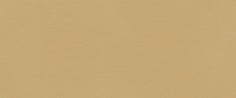 TRUE COLOR 50X120 CARAMEL MATT арт. 80399