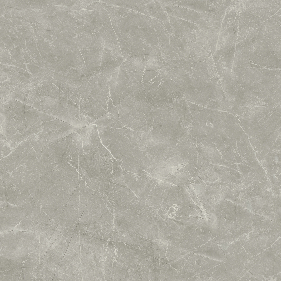 Wolf Grey Керамогранит 80х80 Сатинированный арт. 20630