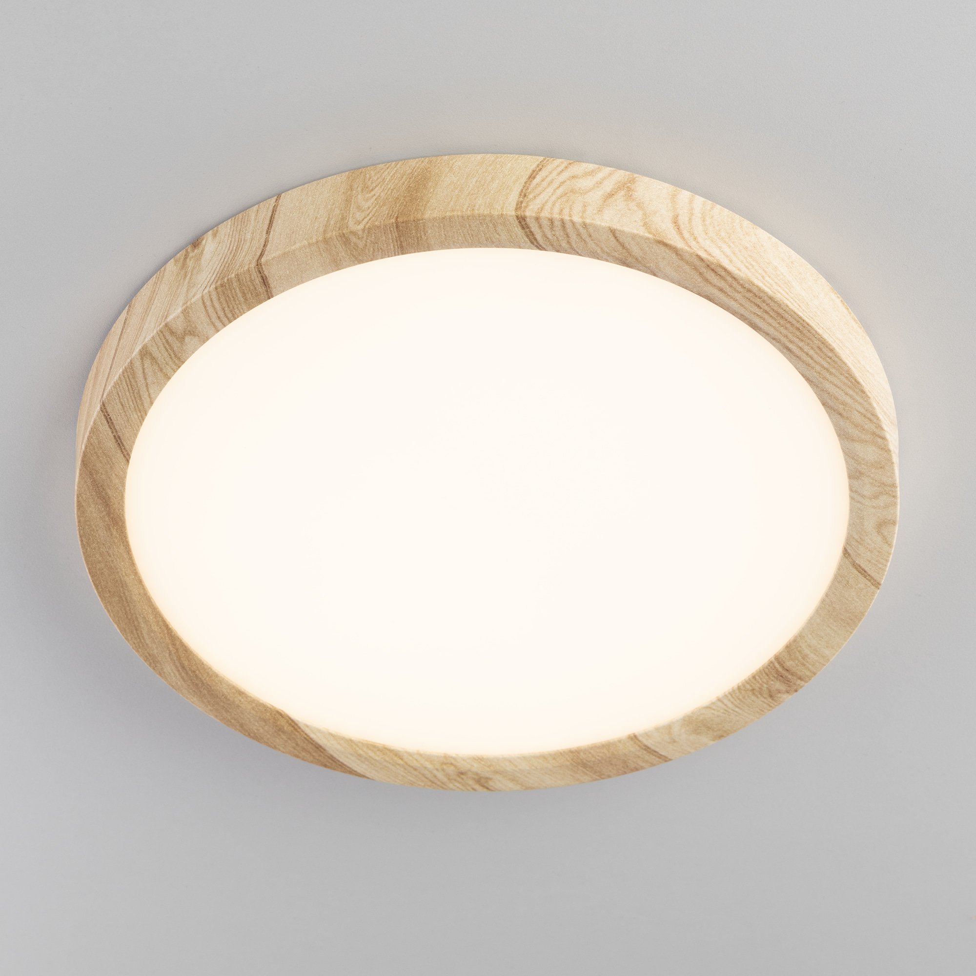 Citilux Бейсик CL738182V LED Светильник накладной Клён арт. 89193