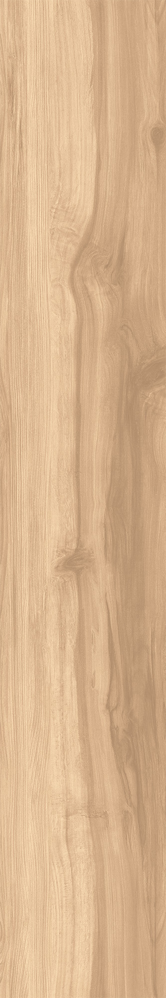 FOSSIL WOOD BRICH арт. 123080
