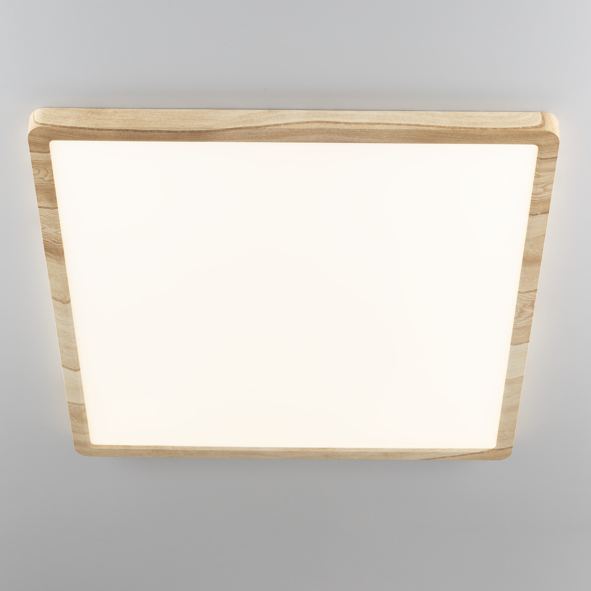 Citilux Бейсик CL738K502V LED Светильник накладной Клён арт. 89197