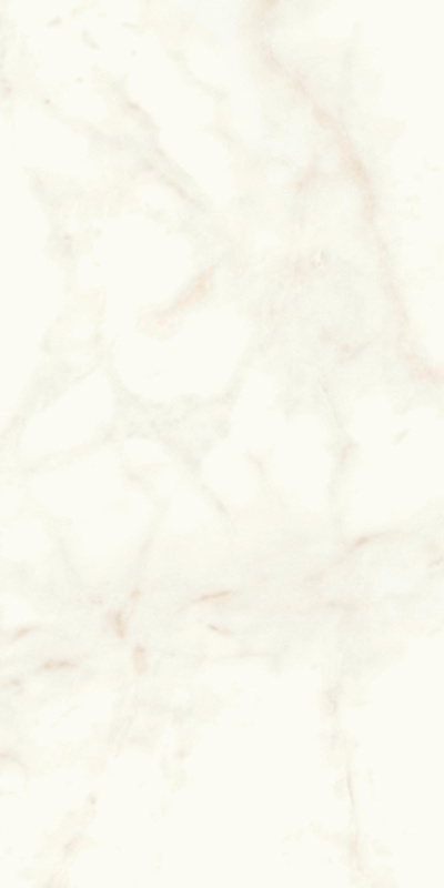 Marvel Calacatta Delicato 60x120 Matt арт. 79728