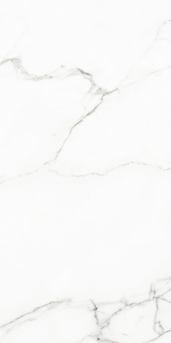 Керамогранит RHAPSODY WHITE BEAUTY NAT RET 60X120 арт. 84781