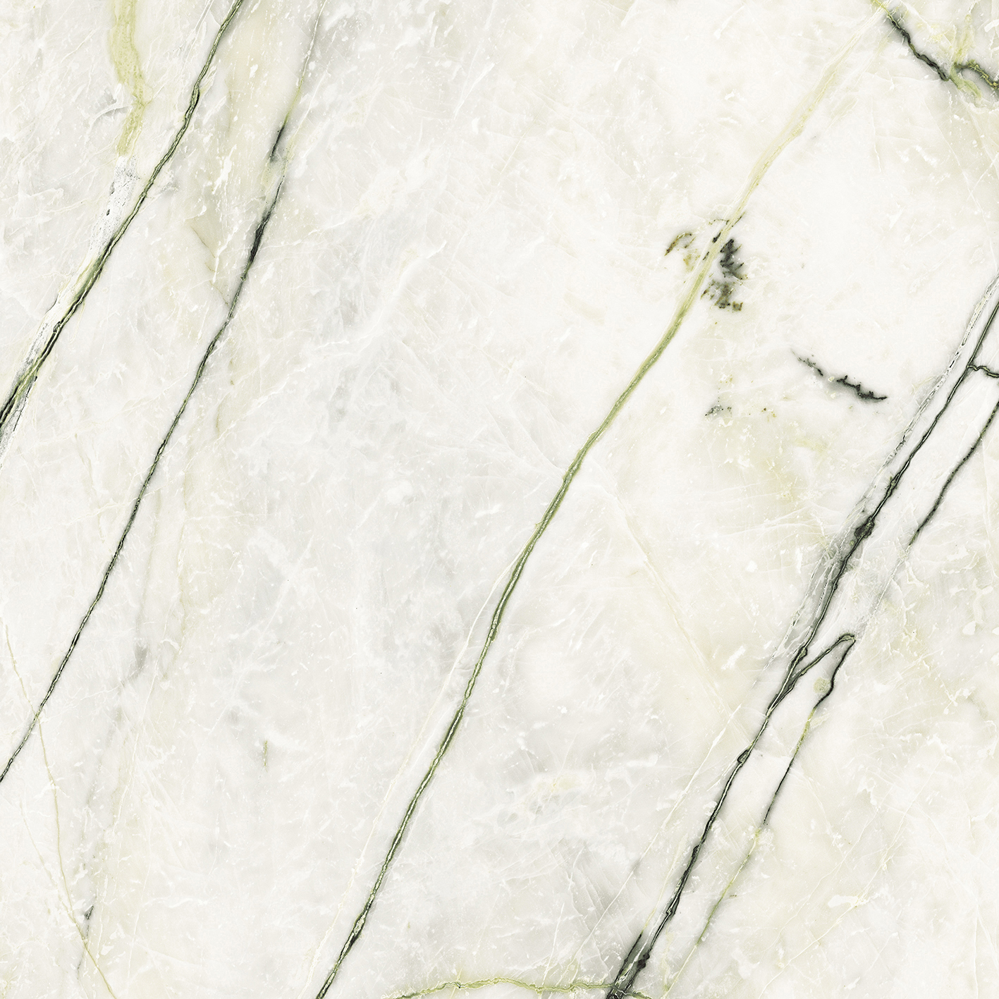 CALACATTA GREEN POL.PV6 120X120(A) арт. 80811
