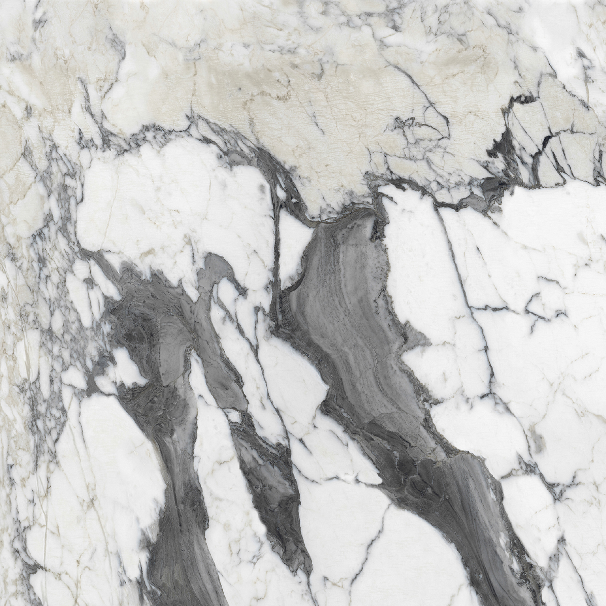 Керамогранит BIJOUX CALAC ALTISSIMO MAT 6MM R	120X120 арт. 83901
