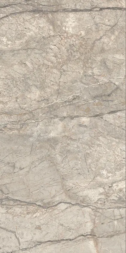 ANIMA FUTURA AMAZING SILVER 60X120 LISCIO MATT арт. 74099