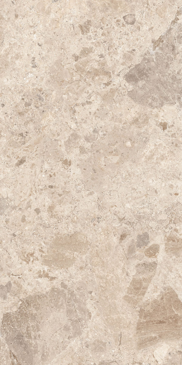 Керамогранит ERA BLOOM. TAUPE LAP R60X120 арт. 126211